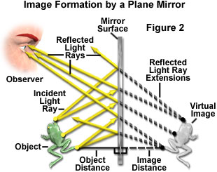 奧林巴斯顯微鏡 mirrors figure2