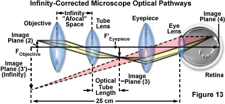 奧林巴斯顯微鏡 infinitycorrectedraypaths