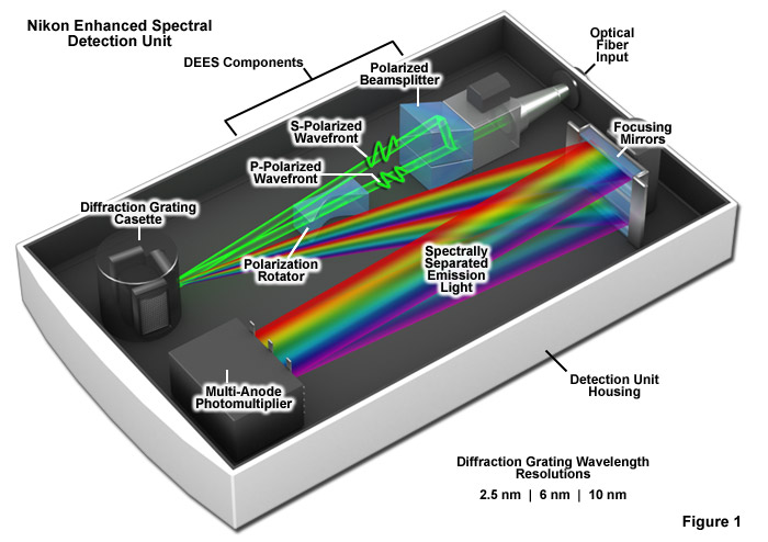 奧林巴斯顯微鏡 spectralimagingfigure1large