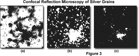 奧林巴斯顯微鏡 reflectedconfocalfigure3