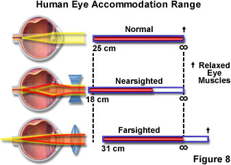奧林巴斯顯微鏡 human vision figure8