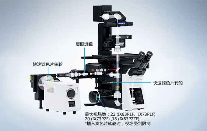 奧林巴斯顯微鏡 奧林巴斯顯微鏡