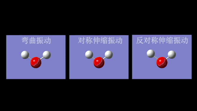 奧林巴斯顯微鏡 奧林巴斯顯微鏡